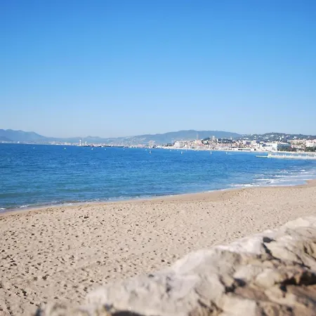 Le Vieux Port Cannes