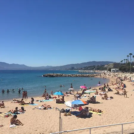Le Vieux Port Cannes